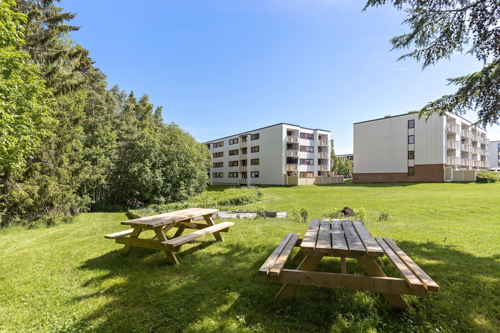 Husk og meld deg på visning, velkommen! Galleribilde