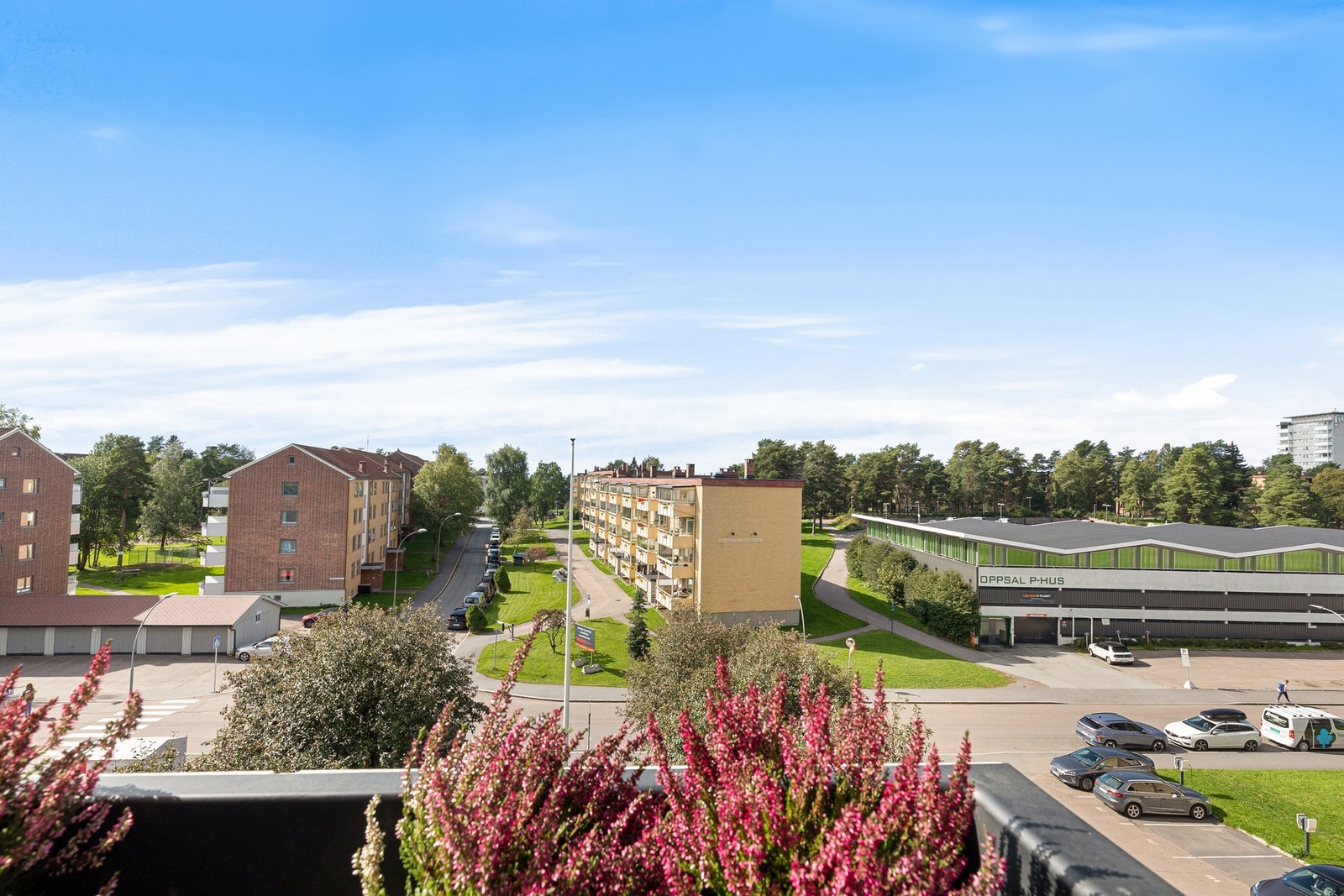 Nydelige sol -og utsiktsforhold. Galleribilde