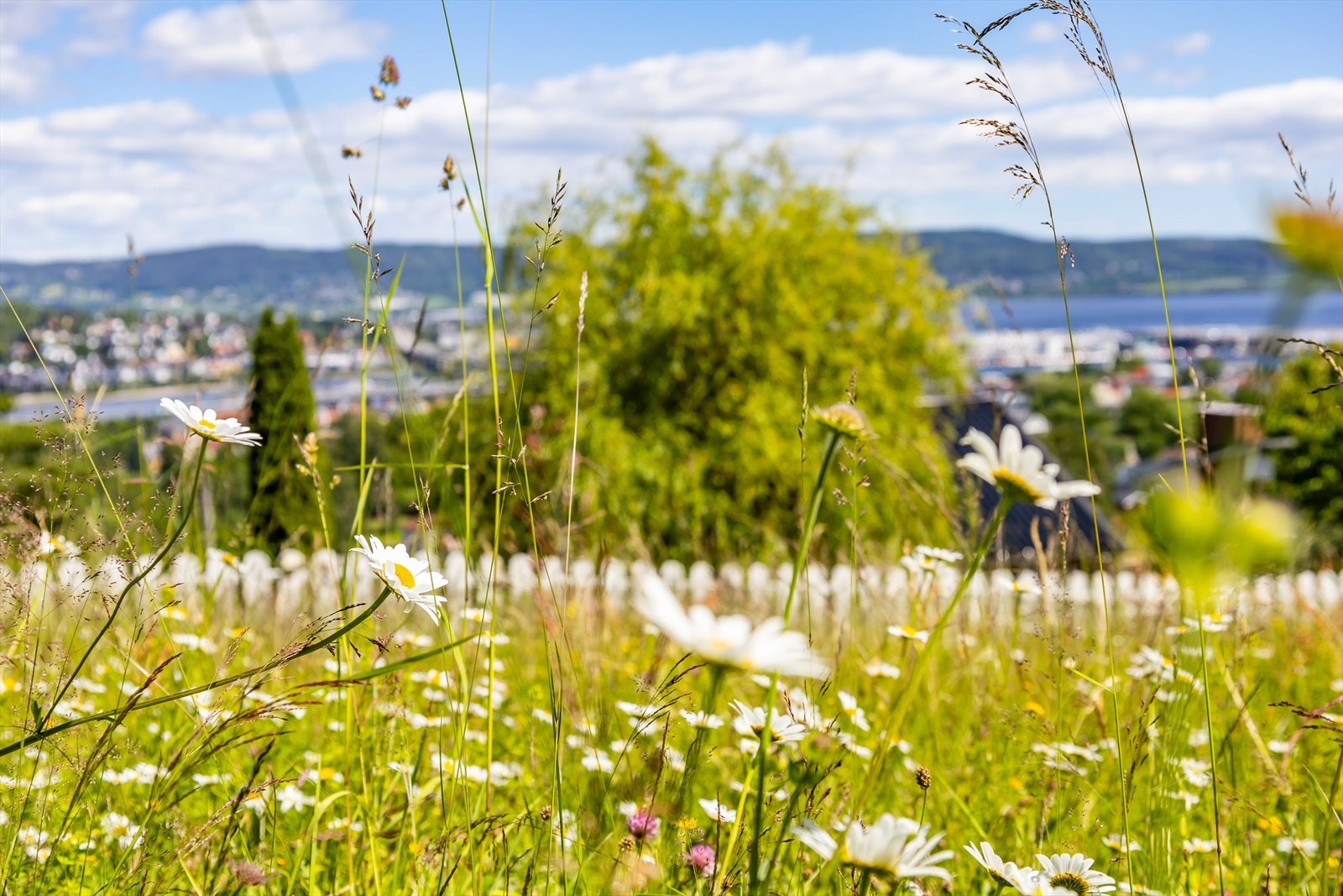 Detaljer Galleribilde