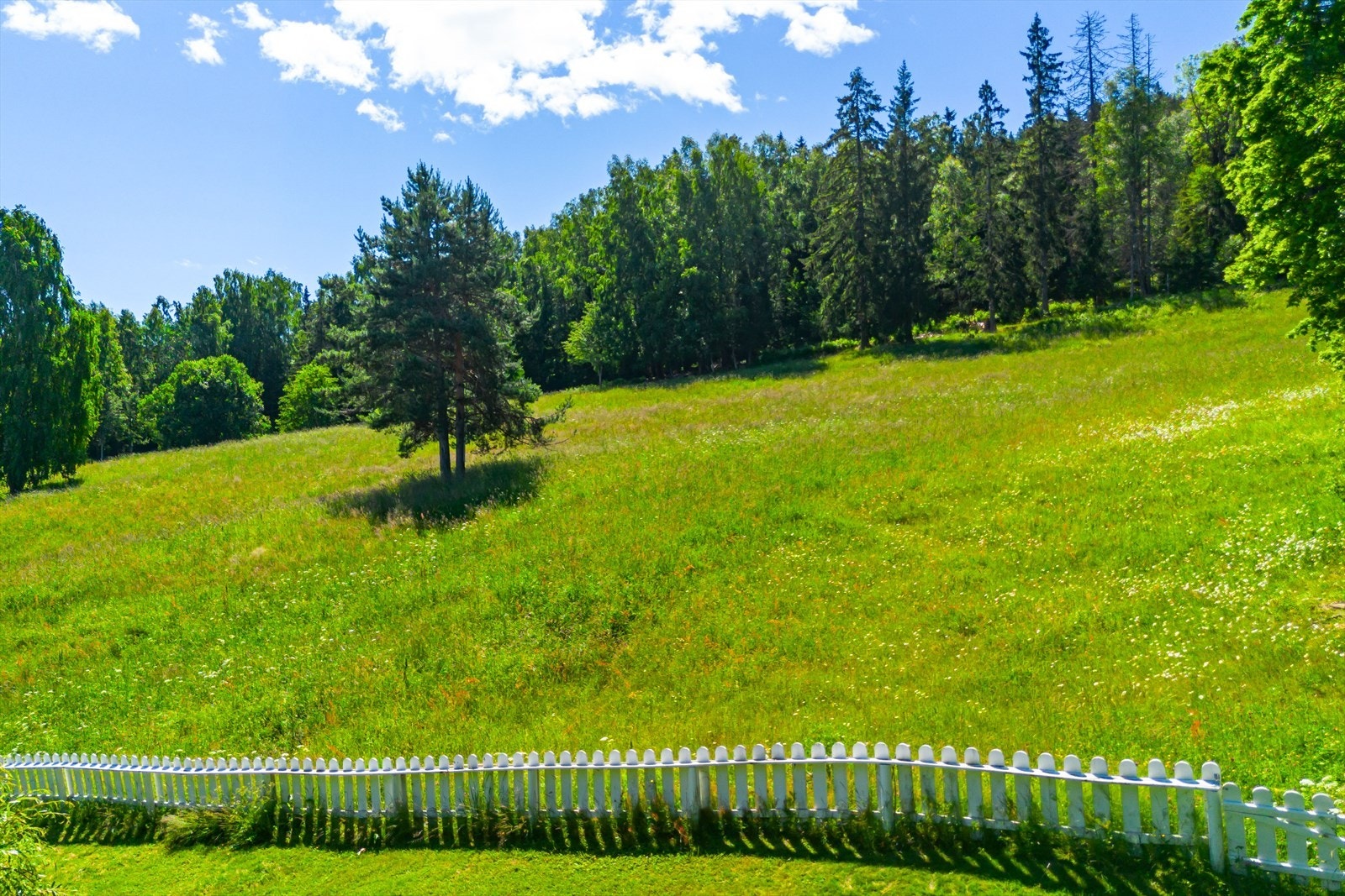 Utsikt bak tomten Galleribilde