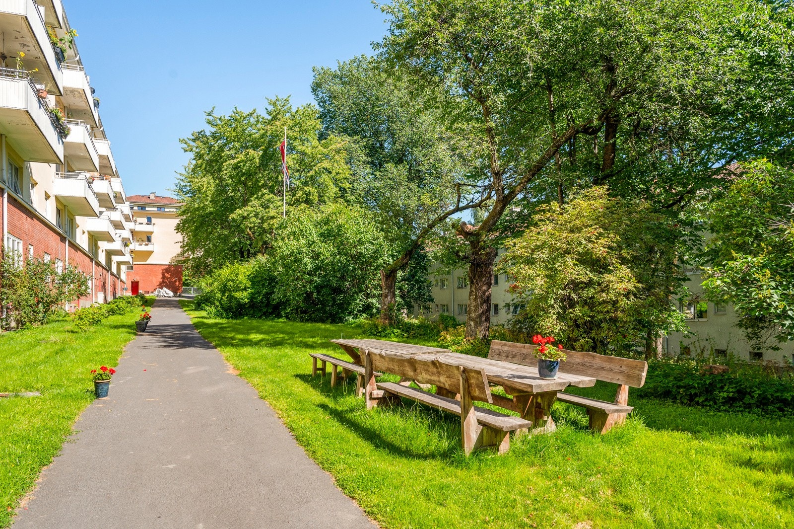 Pent opparbeidet bakgård. Galleribilde