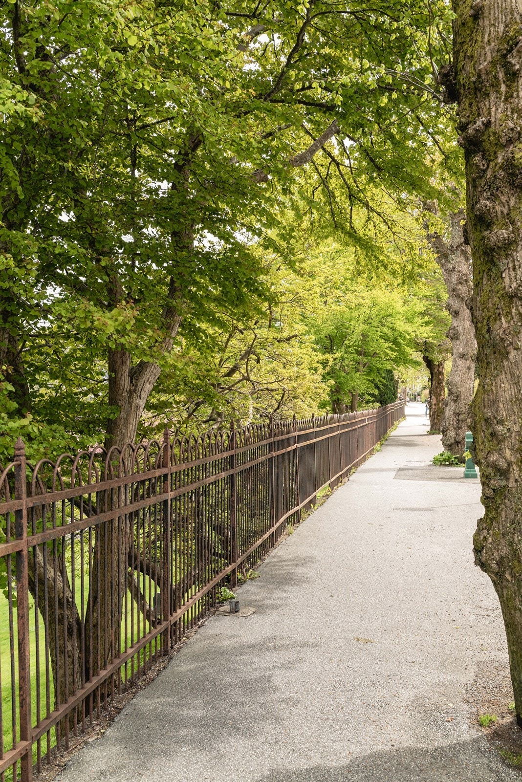 Nærområdet byr på nydelige turmuligheter i umiddelbar nærhet med variert, fint terreng. Løvstien er gruslagt, og byr på fine forhold for en rusle-, trille- eller joggetur. Løvstakken har naturskjønne omgivelser og fin utsikt helt til toppen. Galleribilde