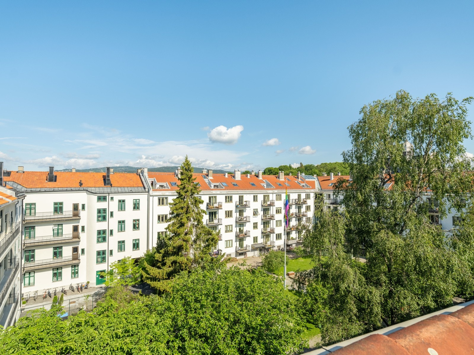 Ganske fint, eller hva? Galleribilde