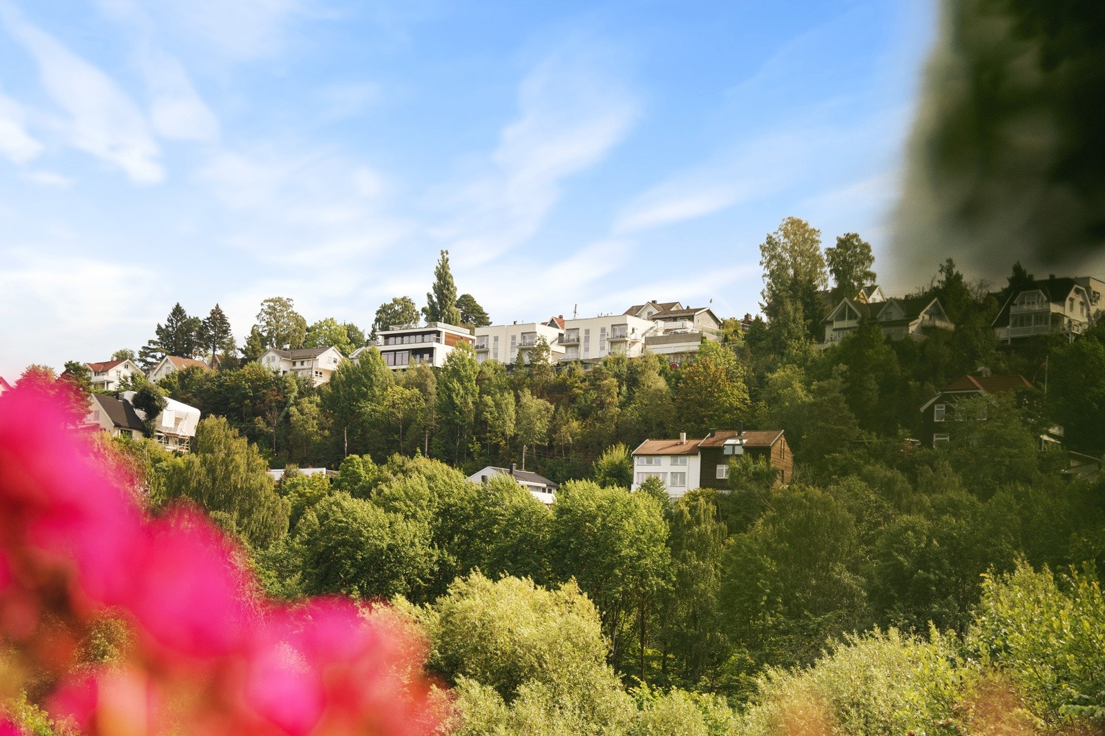 Flott utsikt over Høyenhall! Galleribilde