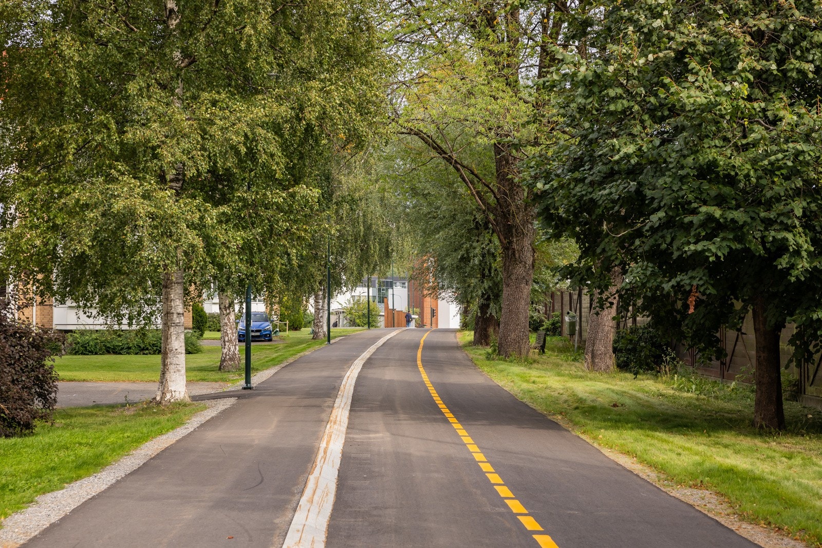 Adkomsten til borettslaget er via en flott allè. Galleribilde