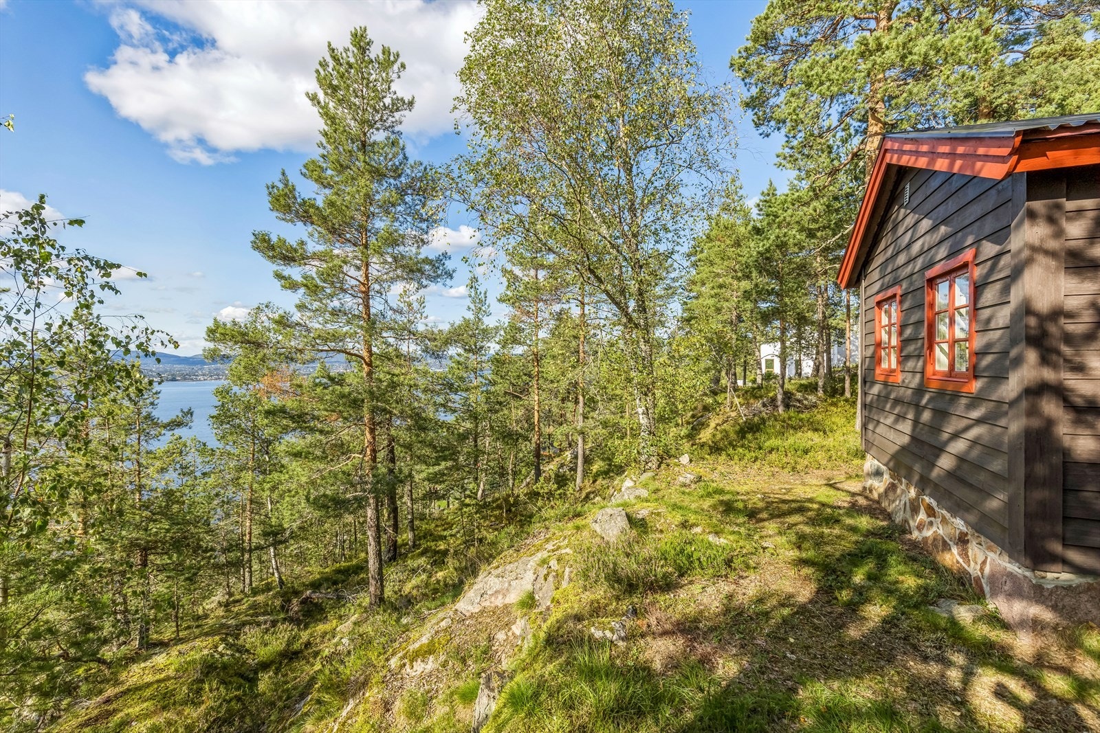 Område rundt hytta er det mye naturlig beplantning og trær. Galleribilde