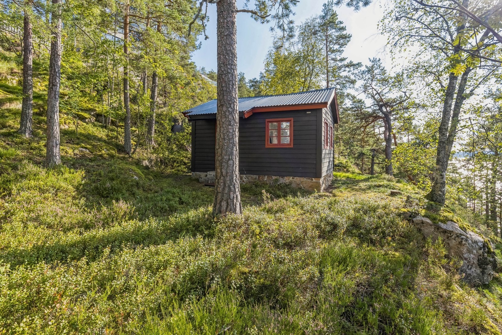 Tomten fremstår hovedsakelig som naturtomt - skrånet fjellterreng og trær. Tomten er ikke opparbeidet. Galleribilde