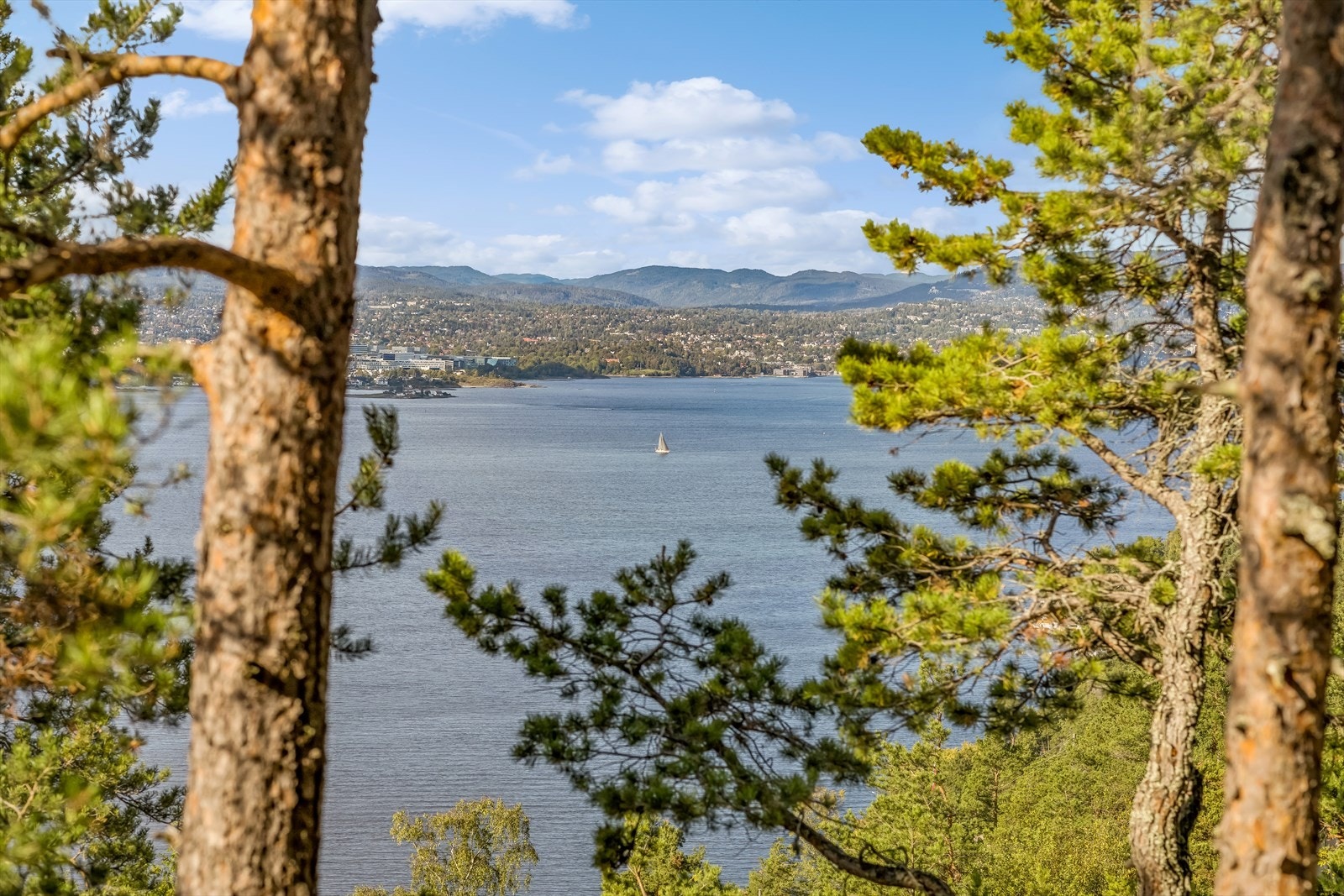 Utsikt. Galleribilde