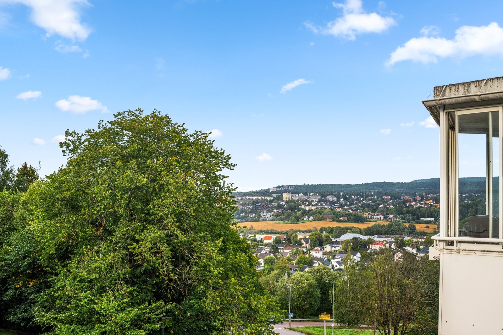 Frodig utsyn. Galleribilde
