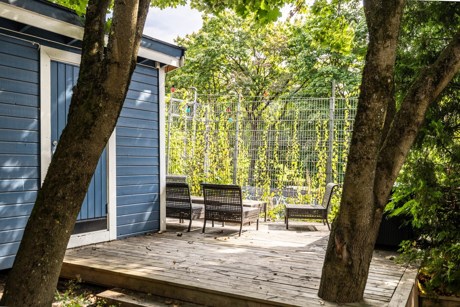 Fellesareal. Galleribilde