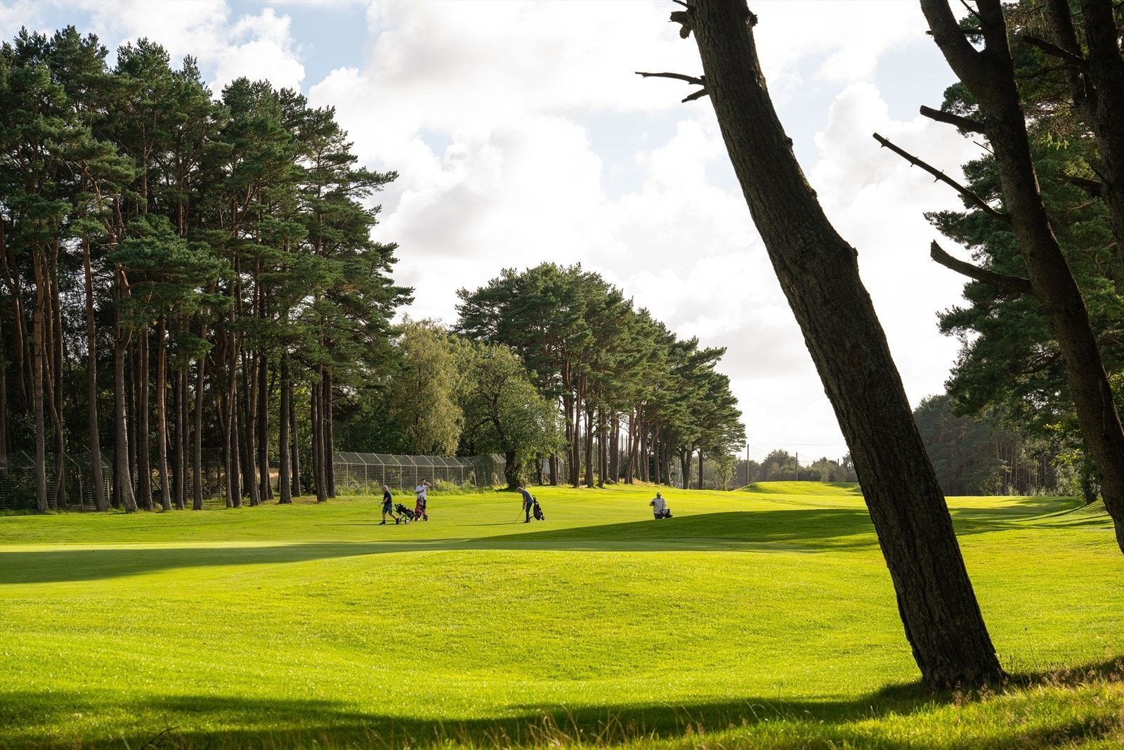 Stavanger golfklubb ligger like ved Stokkavannet Galleribilde