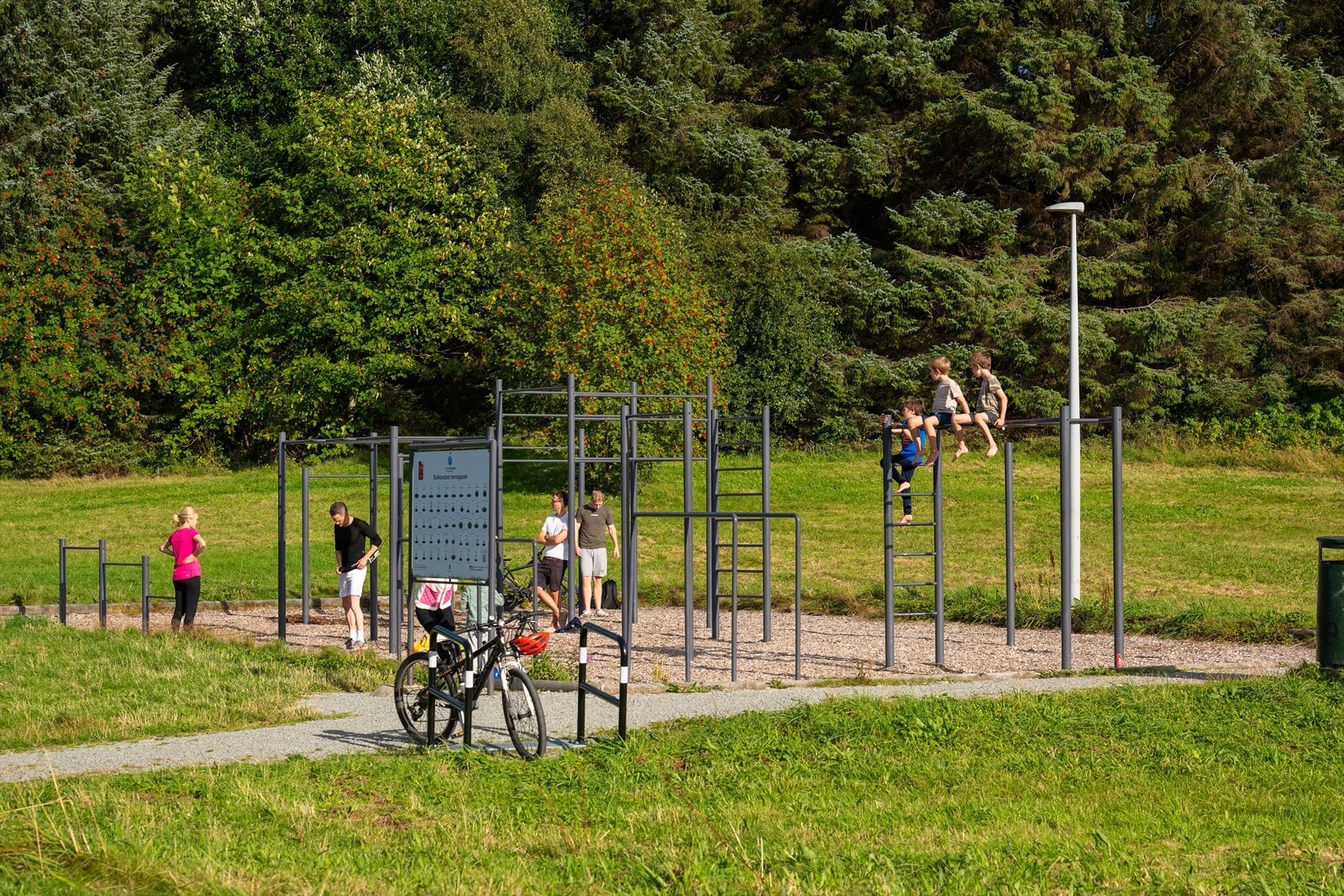 Treningspark like ved for store og små Galleribilde