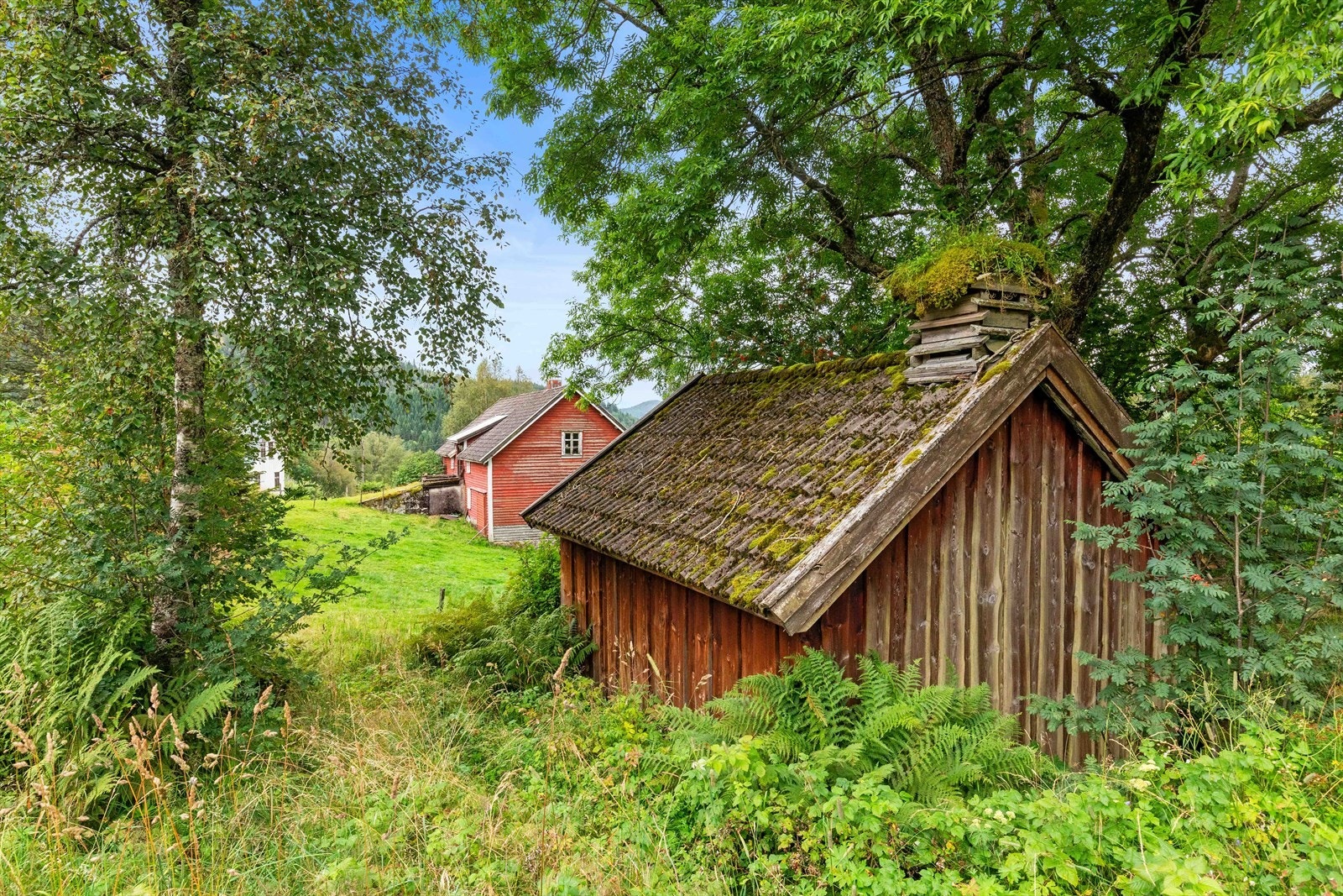 Smie er på 15 kvm. Eldre taktekking med slitasje, eldre vindu. Fasade er blitt kledd på nytt, og anbefaler at takrenner blir montert. Galleribilde