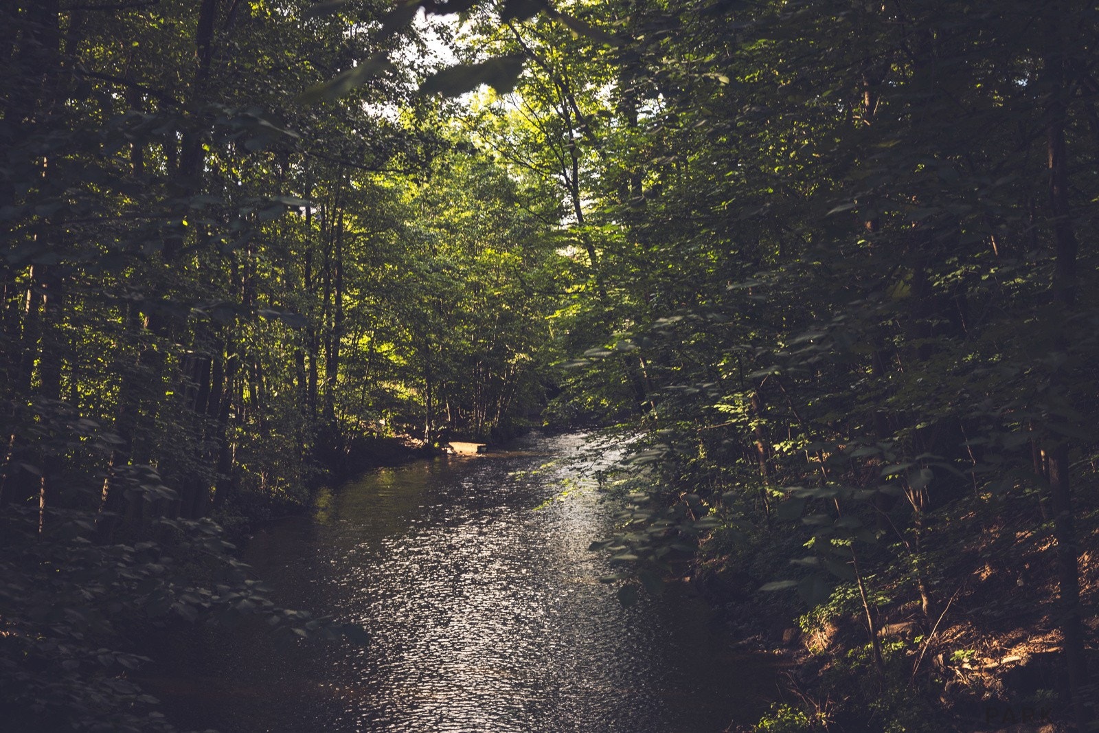 Flotte rekreasjonsomrdåer året rundt i nærheten. Galleribilde