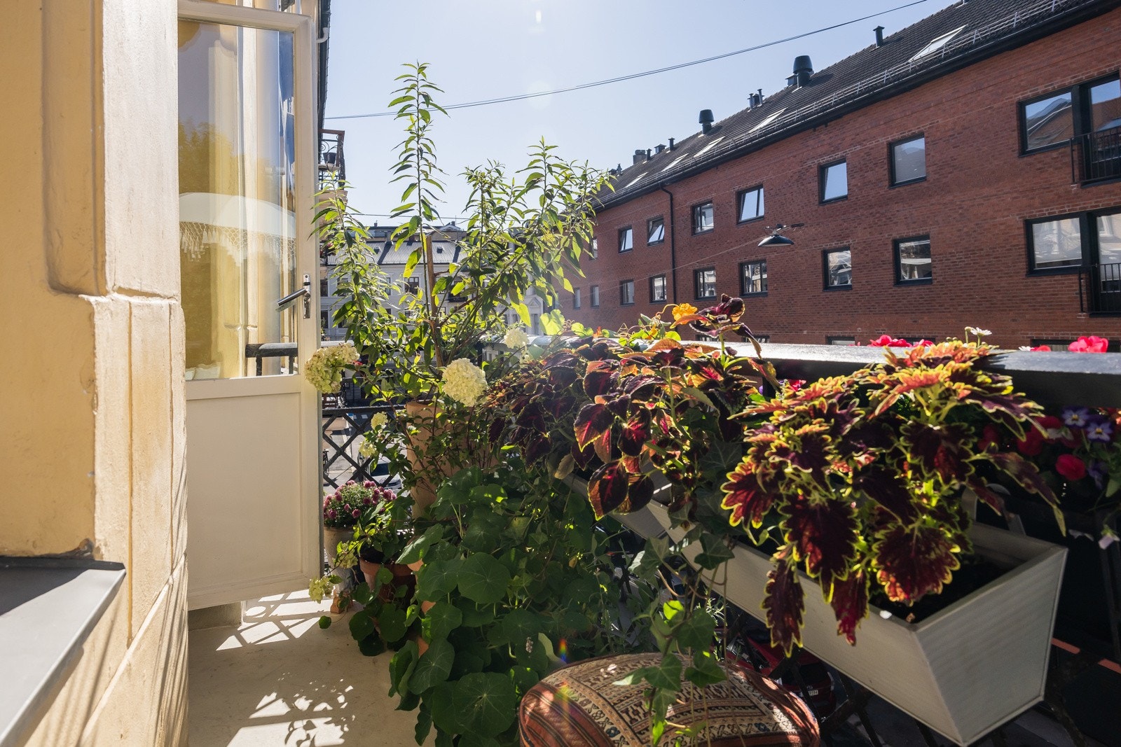 Her trives blomster og planter godt, og skaper en grønn oase. Galleribilde