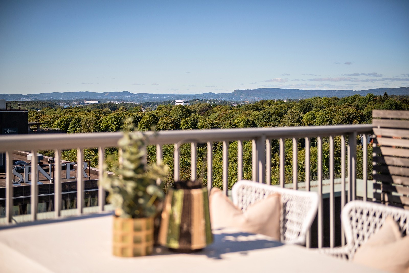 Idyllisk utsikt over Frognerparken og optimale lys- og solforhold Galleribilde