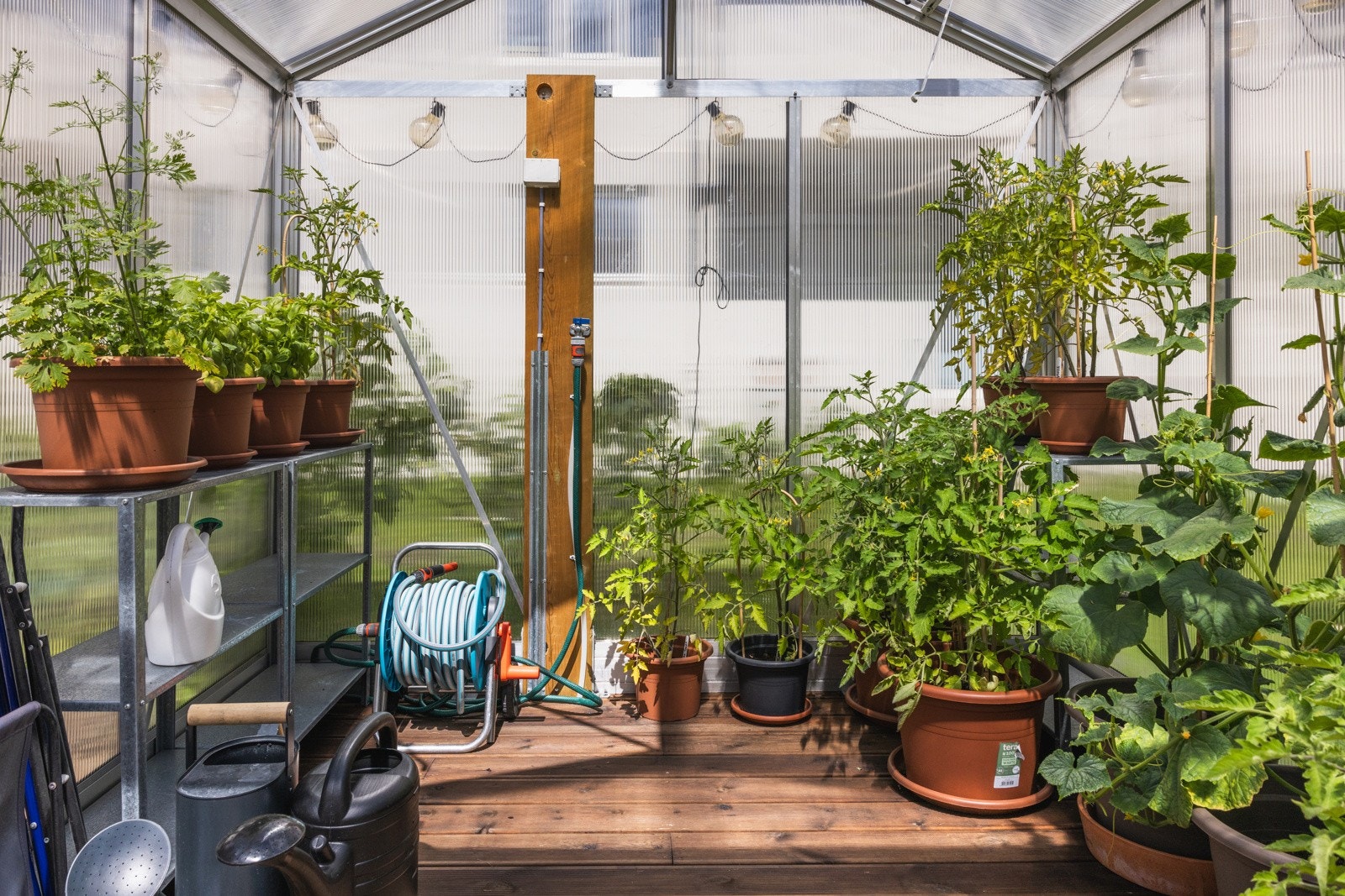 Beboerne kan fritt forsyne seg av bærbuskene og frukttrærne, samt urtene som vokser i drivhuset. Galleribilde