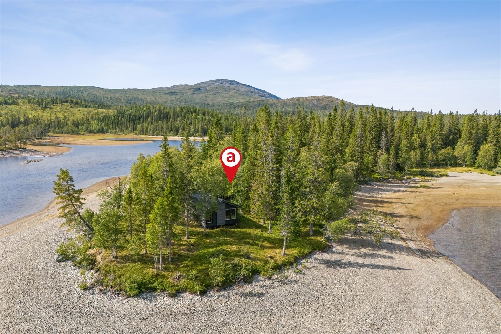 Like utafor hytta finner du blåbær, krekling og tyttebær. Galleribilde