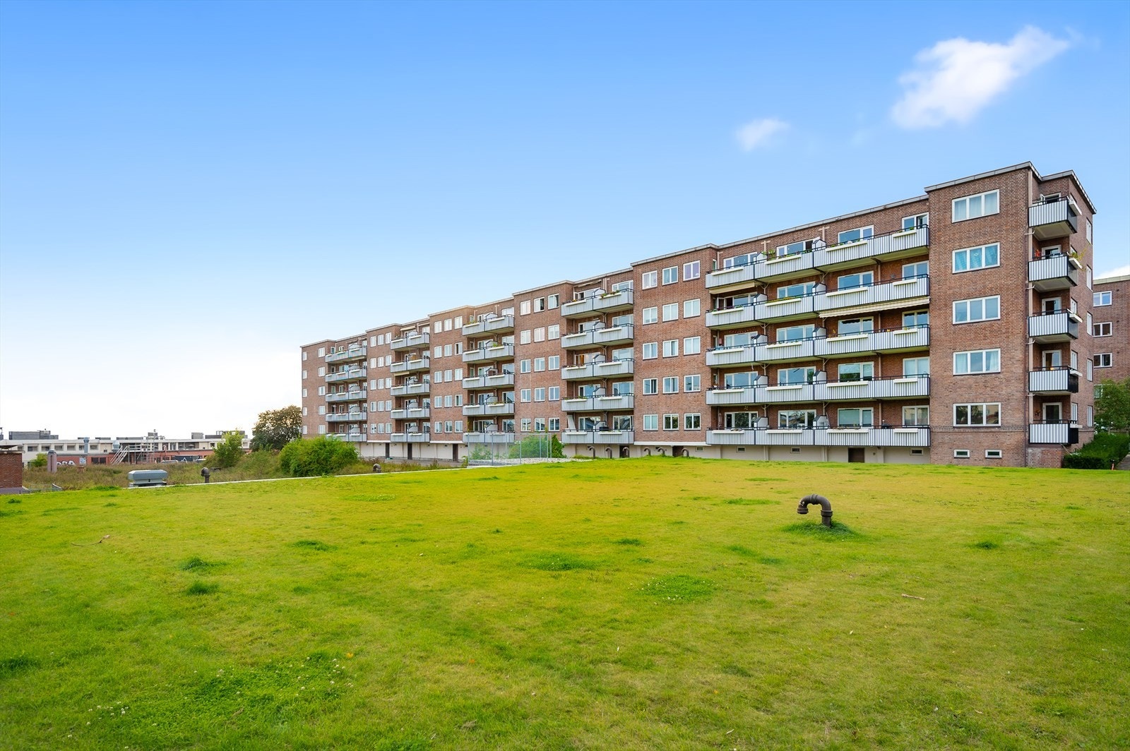 Det er store grønne fellesarealer i tilknytning til borettslaget. Galleribilde