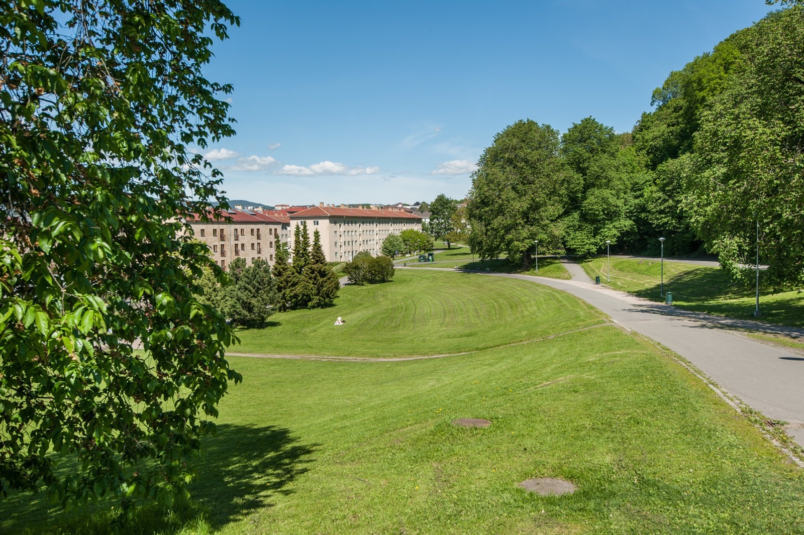 Flotte grøntområder like utenfor boligen Galleribilde