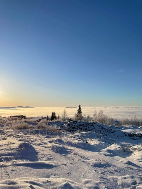 Lauvlia - Vinterdag.jpg Galleribilde