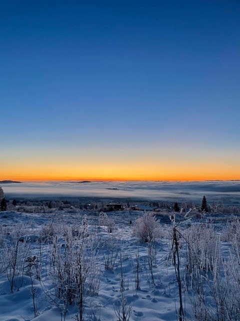 Lauvlia - Solnedgang.jpg Galleribilde