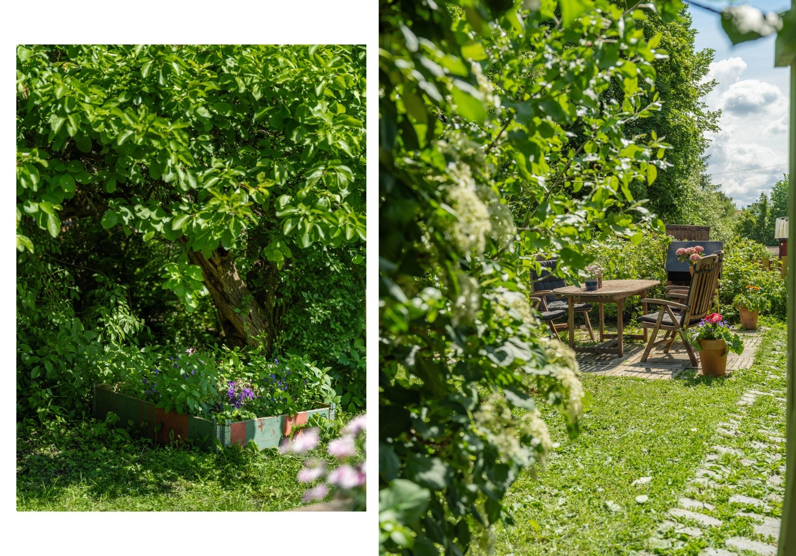 Hagen har både bærbusker, frukttrær og plantekasser. Galleribilde