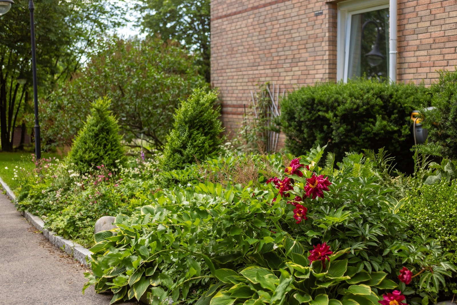 Inngangsparti med flere blomsterbedd Galleribilde