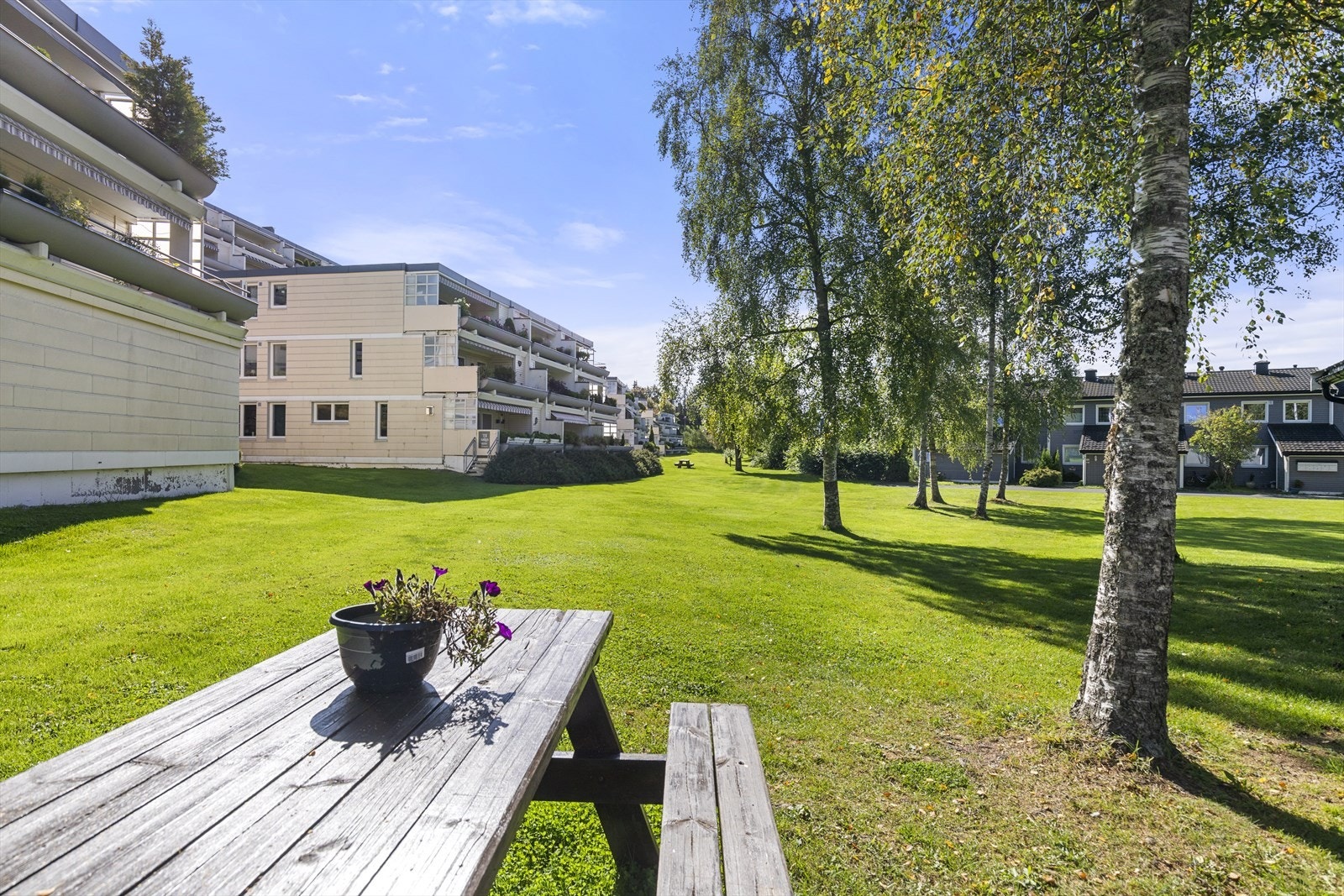 Idyllisk fellesområde. Galleribilde
