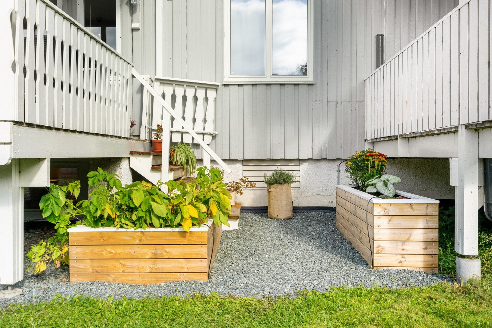 Blomster kassene kan brukes blant annet til potetdyrking, og et selvvanningssystem følger med. Galleribilde