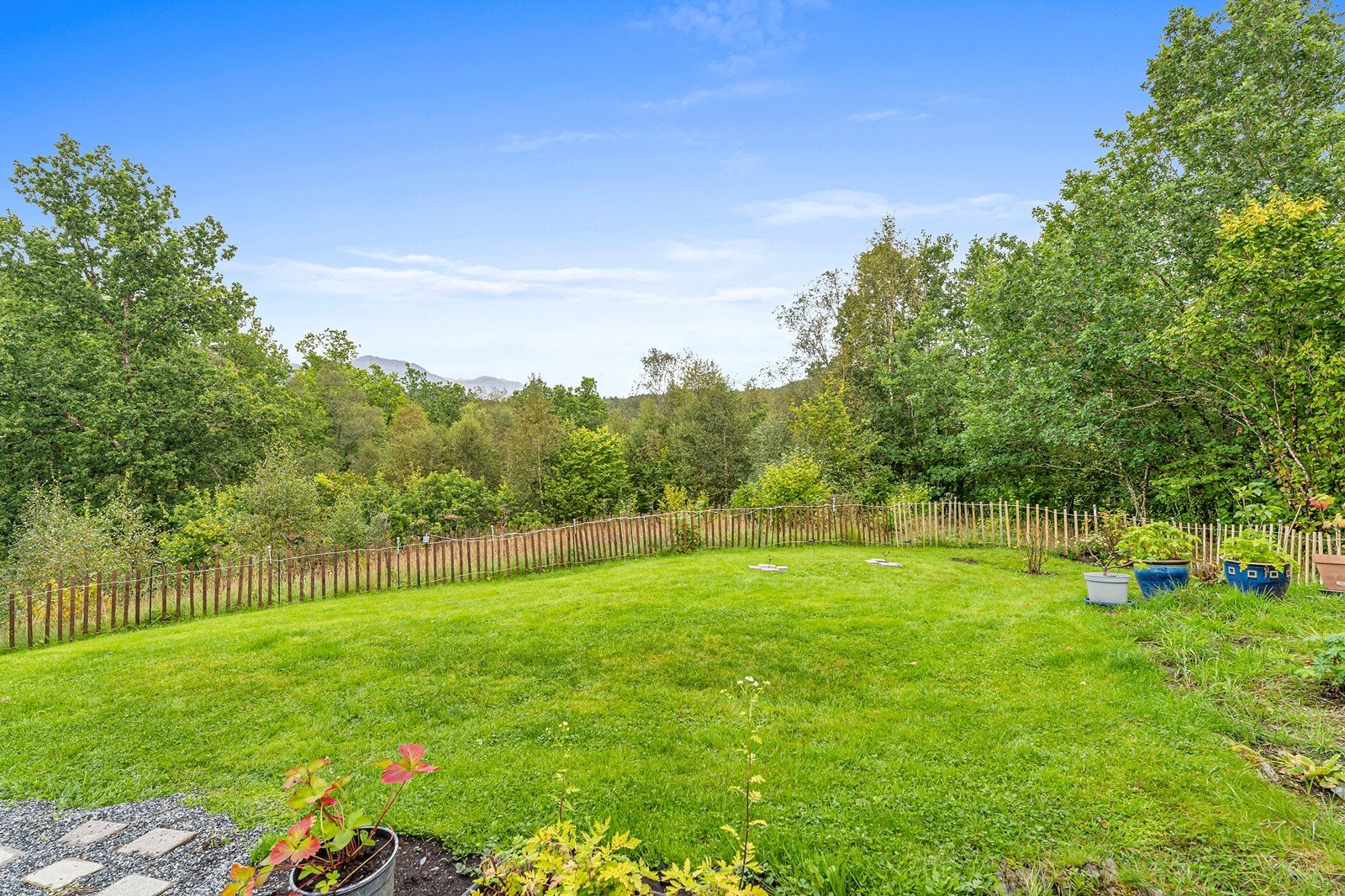 Stor og brukervennlig hage. Galleribilde