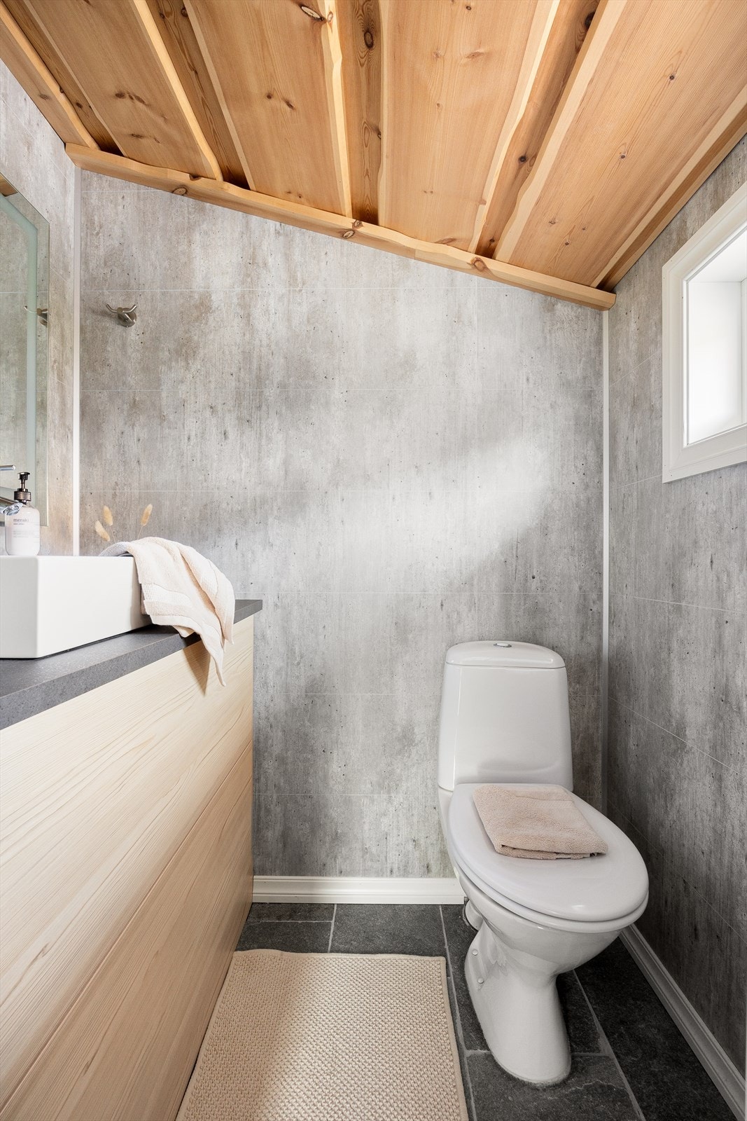 Separat toalettrom Galleribilde