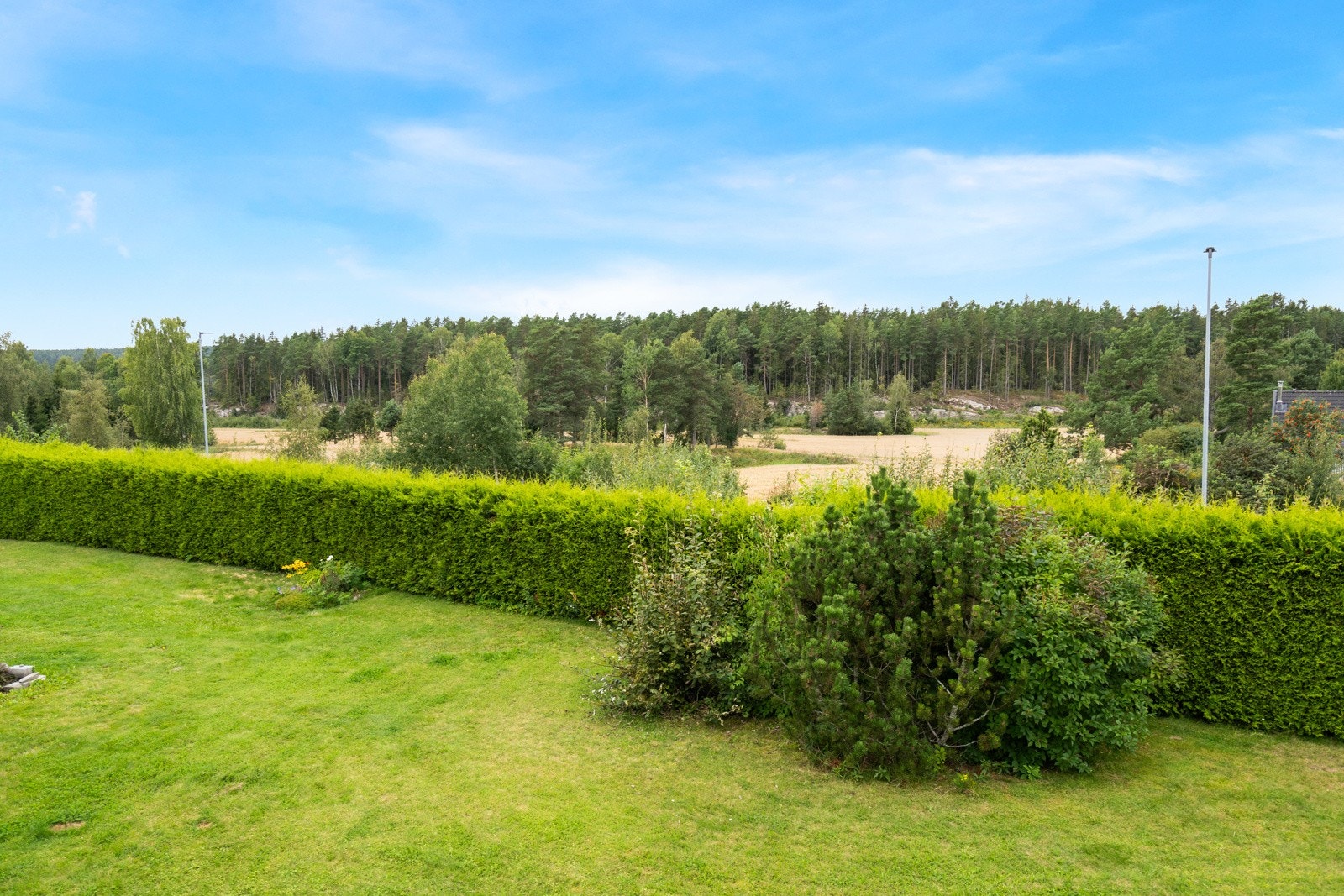 Velkommen på visning! Galleribilde