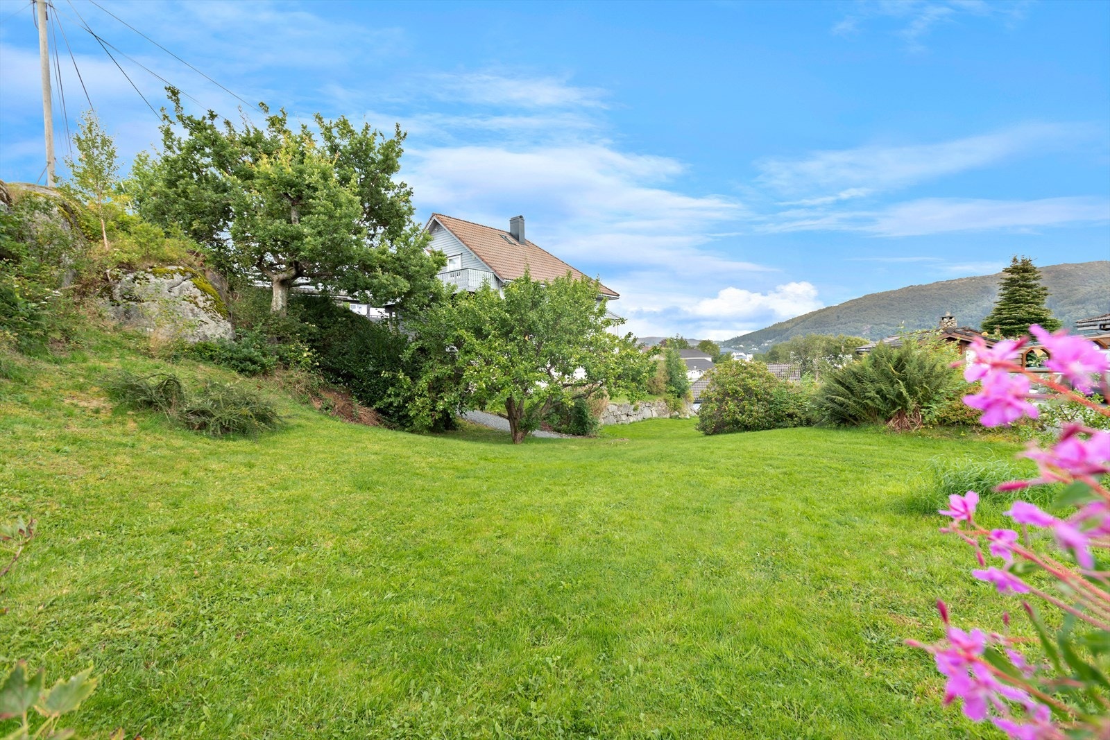 Hagen er stor og har stor gressplen med pen beplantning av blomster, busker og frukttrær. Galleribilde