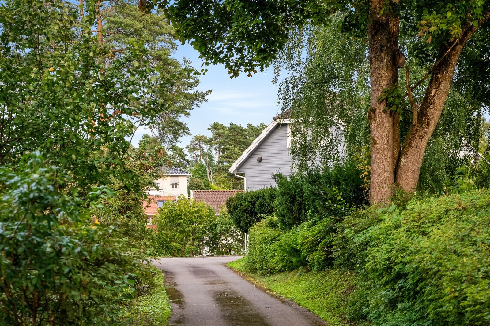 Innkjøring til eiendommen Galleribilde