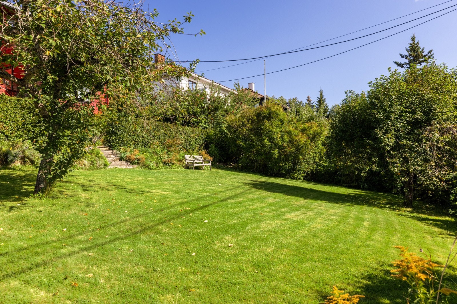 Uteområdet. Galleribilde