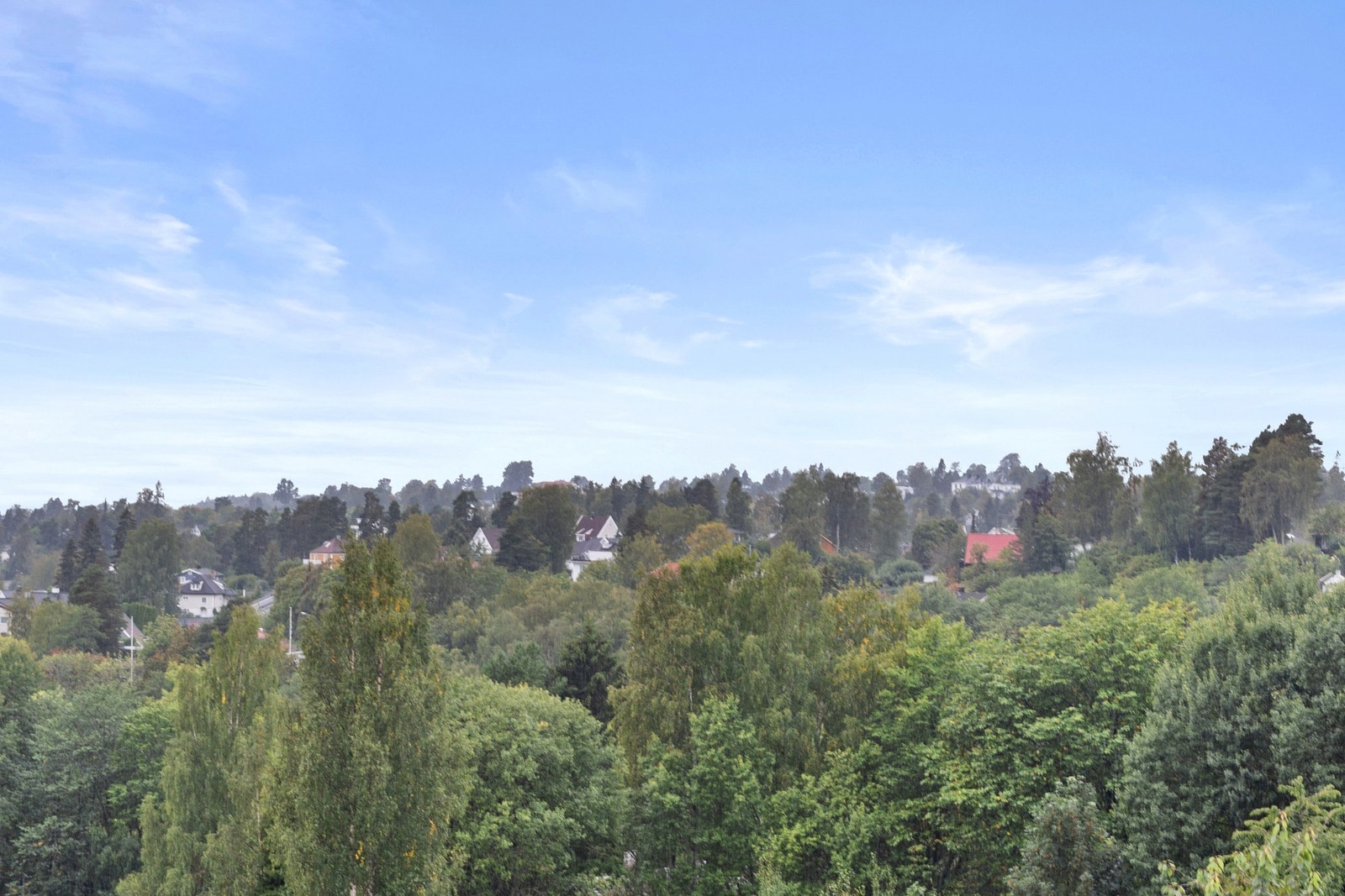 Nydelig grøntområde rett utenfor balkongen Galleribilde