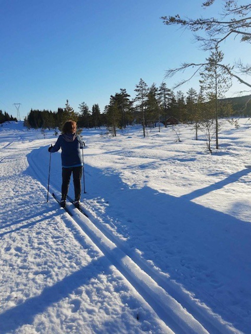 Bilde tatt av selger. Galleribilde