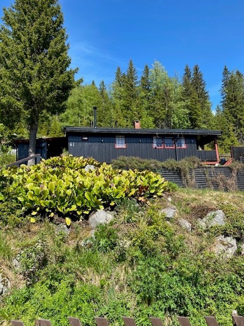 Bilde tatt av selger. Galleribilde