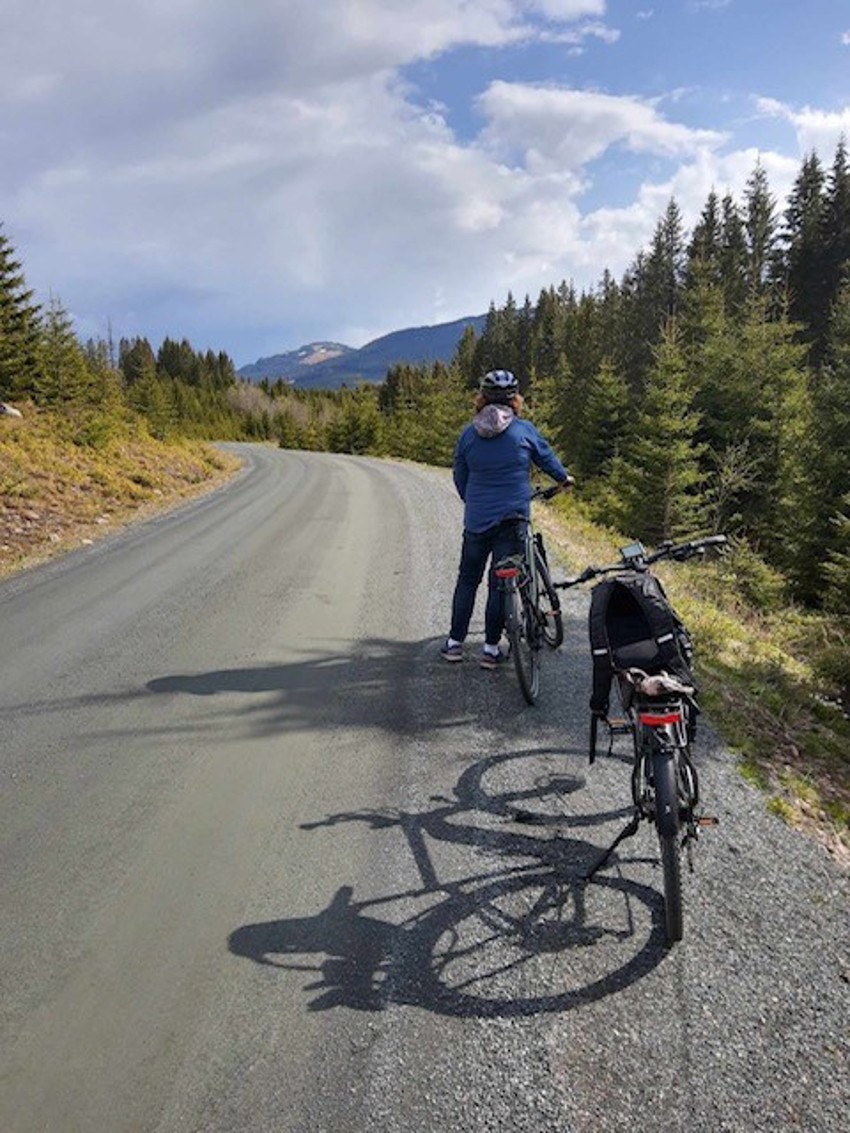 Bilde tatt av selger. Galleribilde