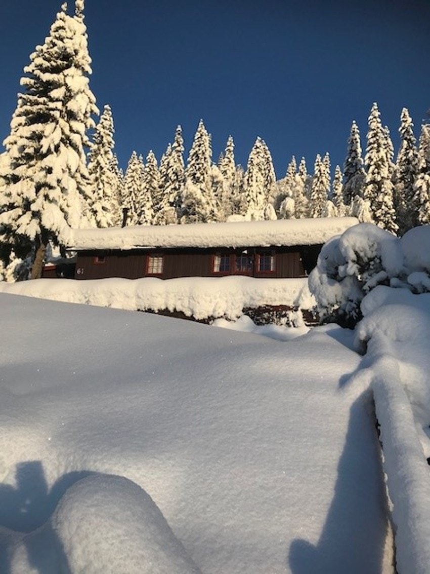 Bilde tatt av selger. Galleribilde