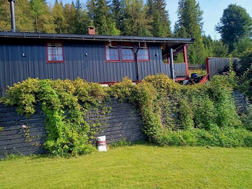 Bilde tatt av selger. Galleribilde