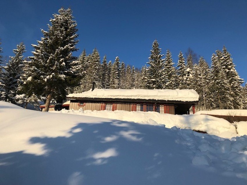 Bilde tatt av selger. Galleribilde