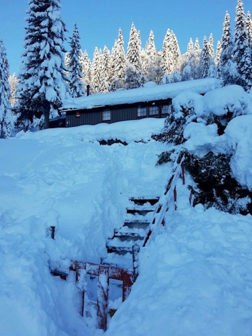 Bilde tatt av selger. Galleribilde