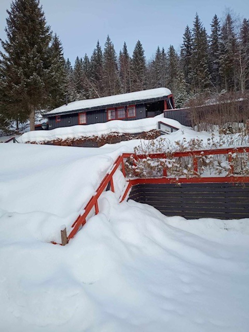 Bilde tatt av selger. Galleribilde