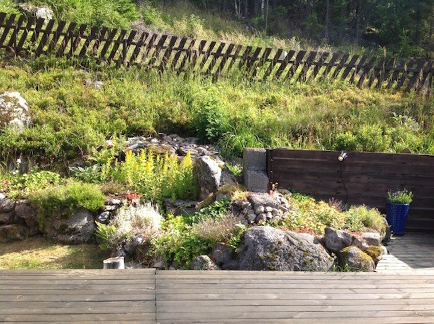 Bilde tatt av selger. Galleribilde