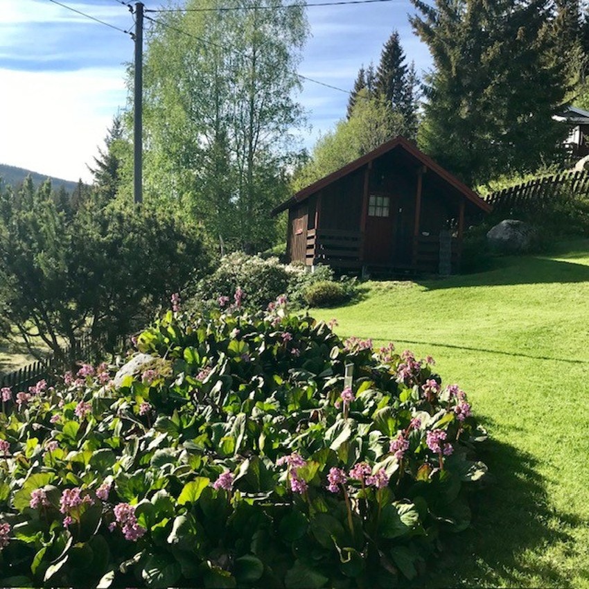 Bilde tatt av selger. Galleribilde