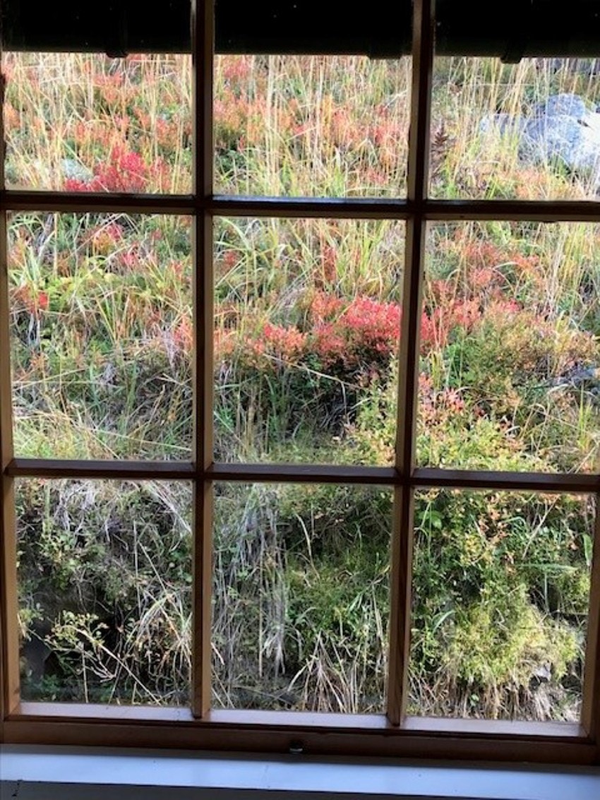 Bilde tatt av selger. Galleribilde