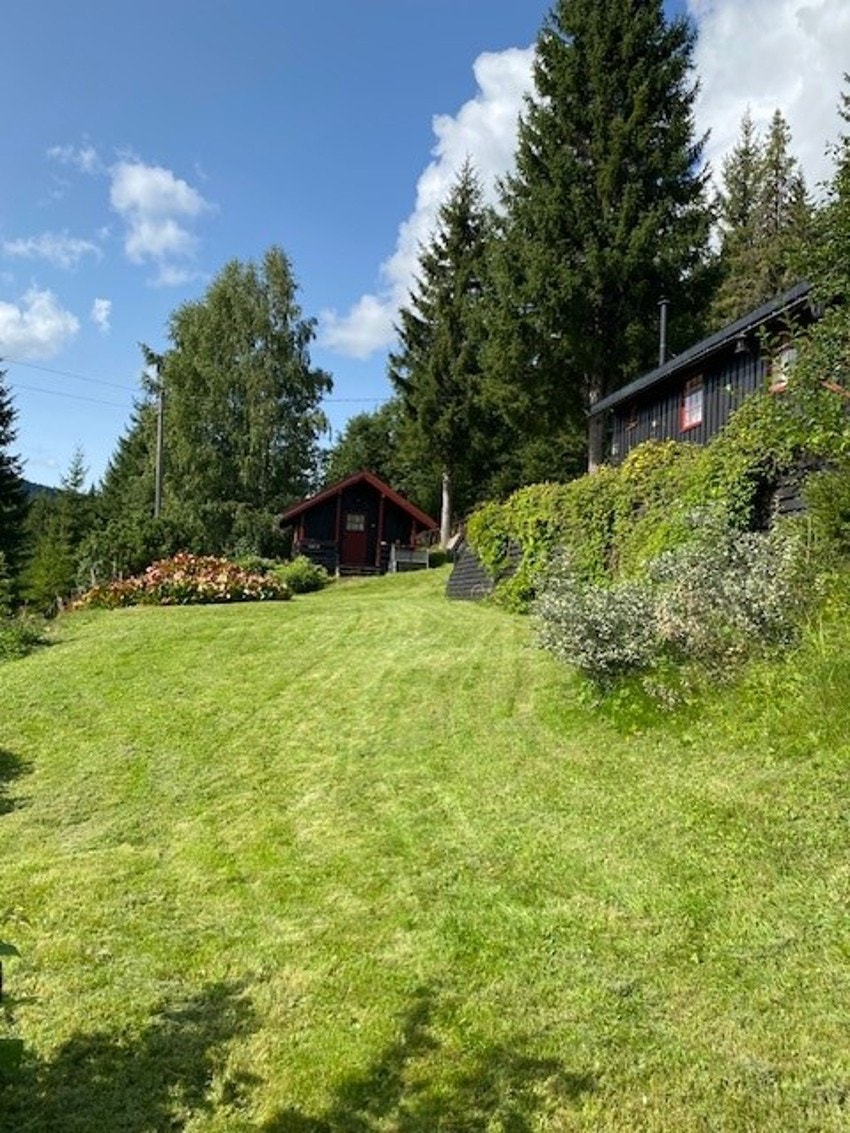 Bilde tatt av selger. Galleribilde