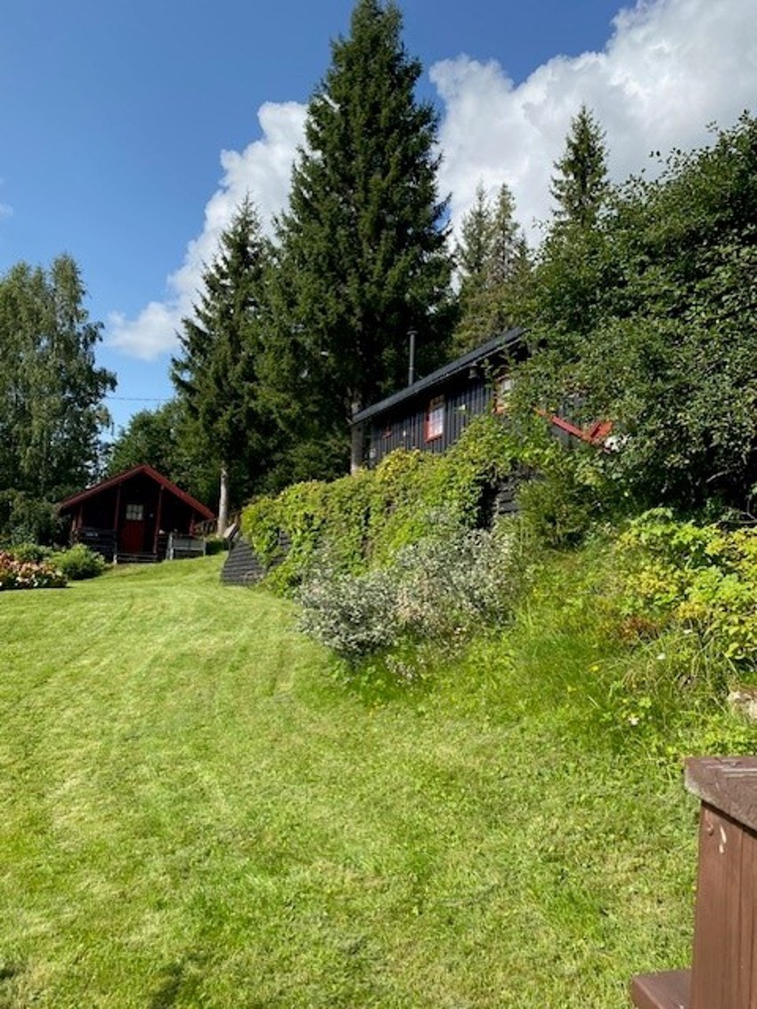 Bilde tatt av selger. Galleribilde